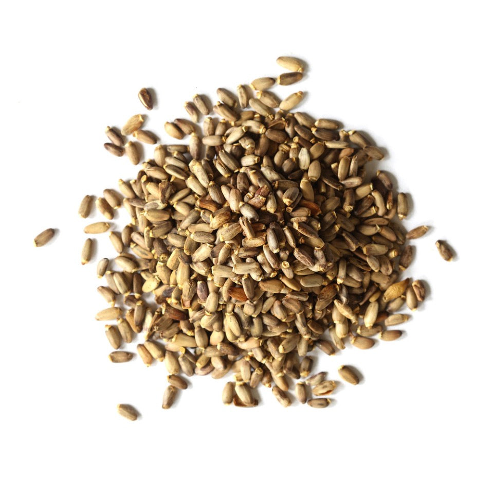 Milk Thistle (per oz)