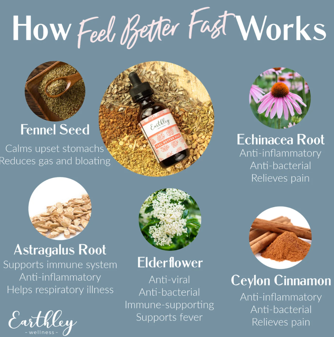 Feel Better Fast 2oz Tincture