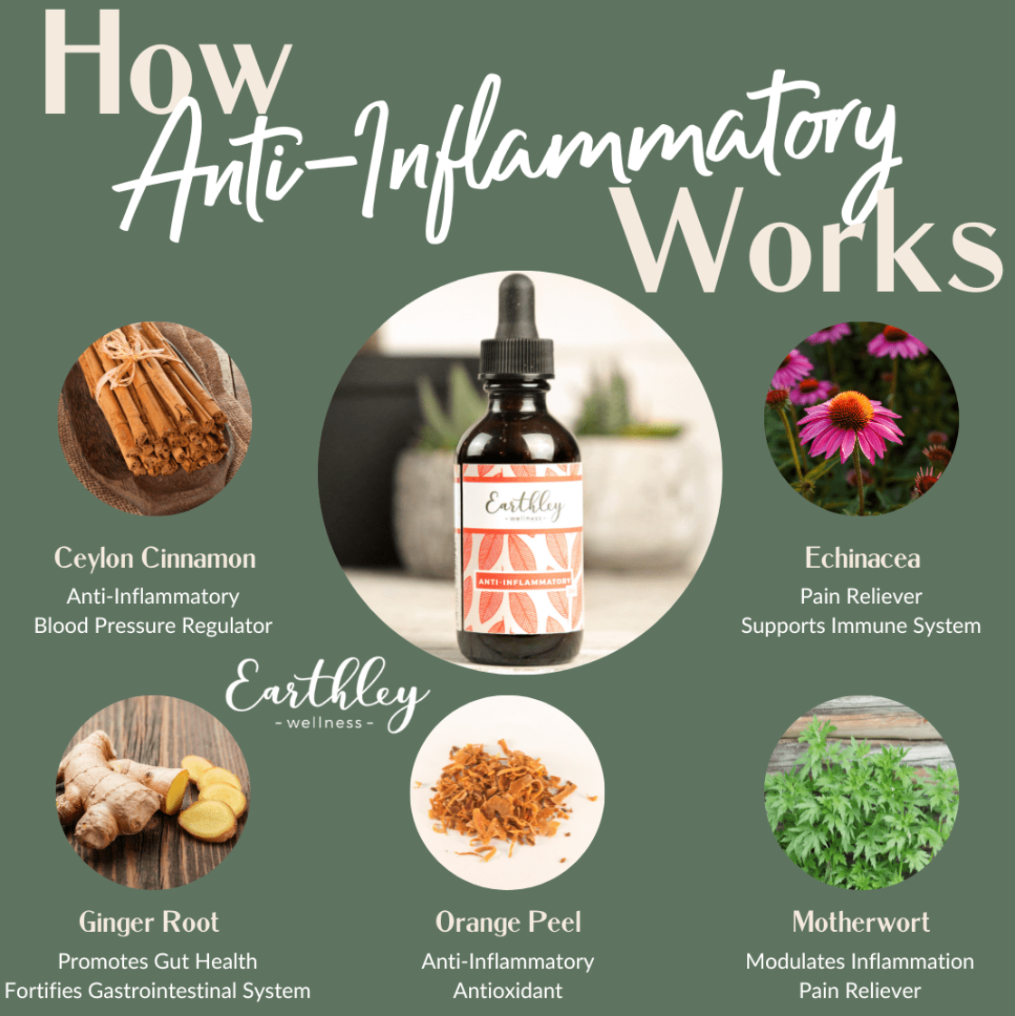 Anti-Inflammatory Herbal Extract - 2oz