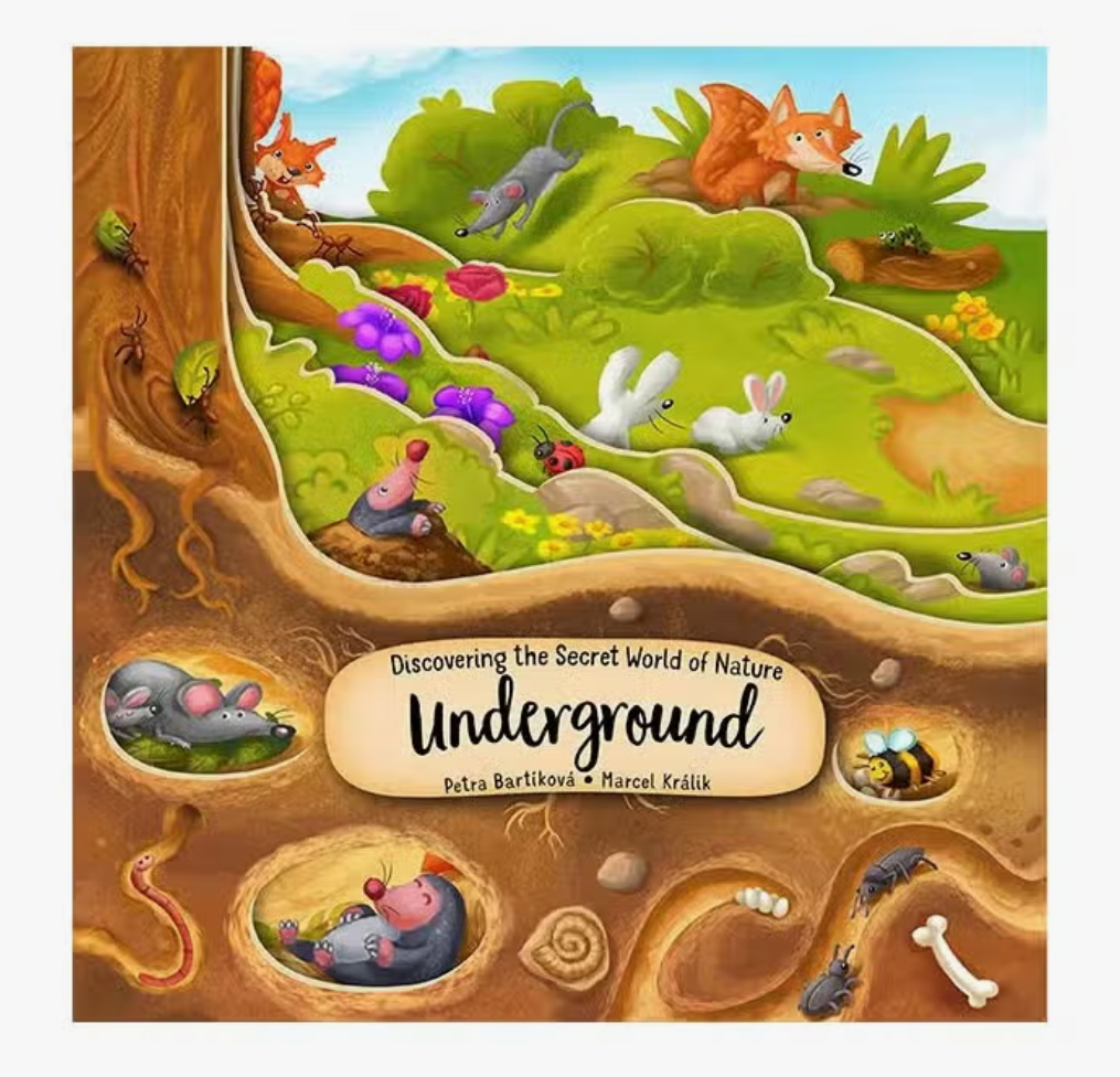 Board Book - Underground