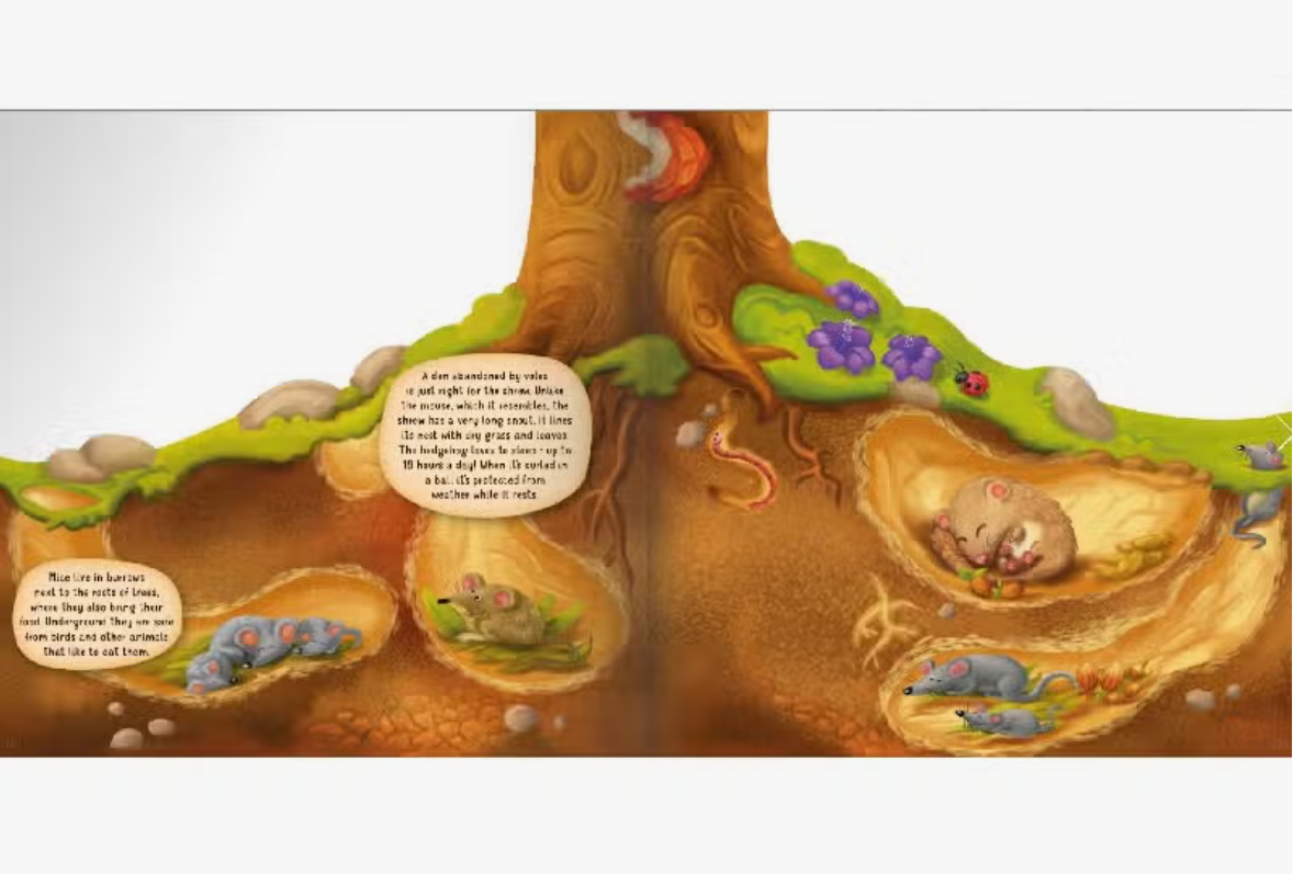 Board Book - Underground