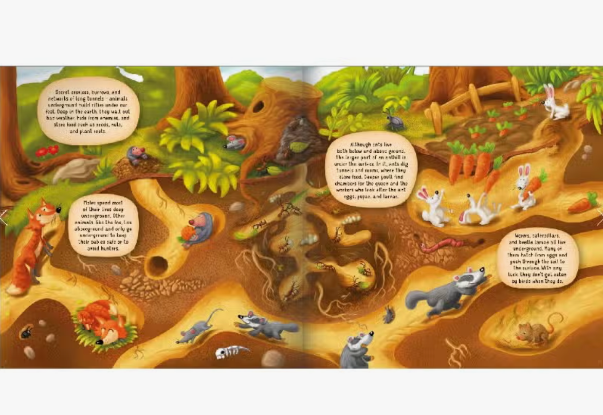 Board Book - Underground