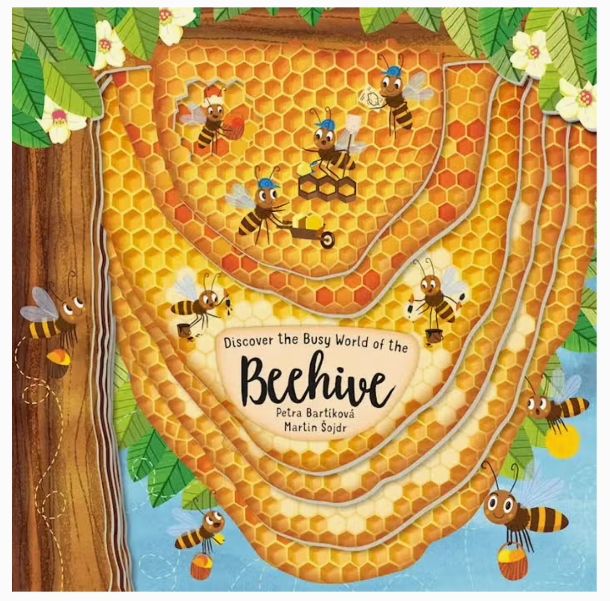 Board Book - Beehive