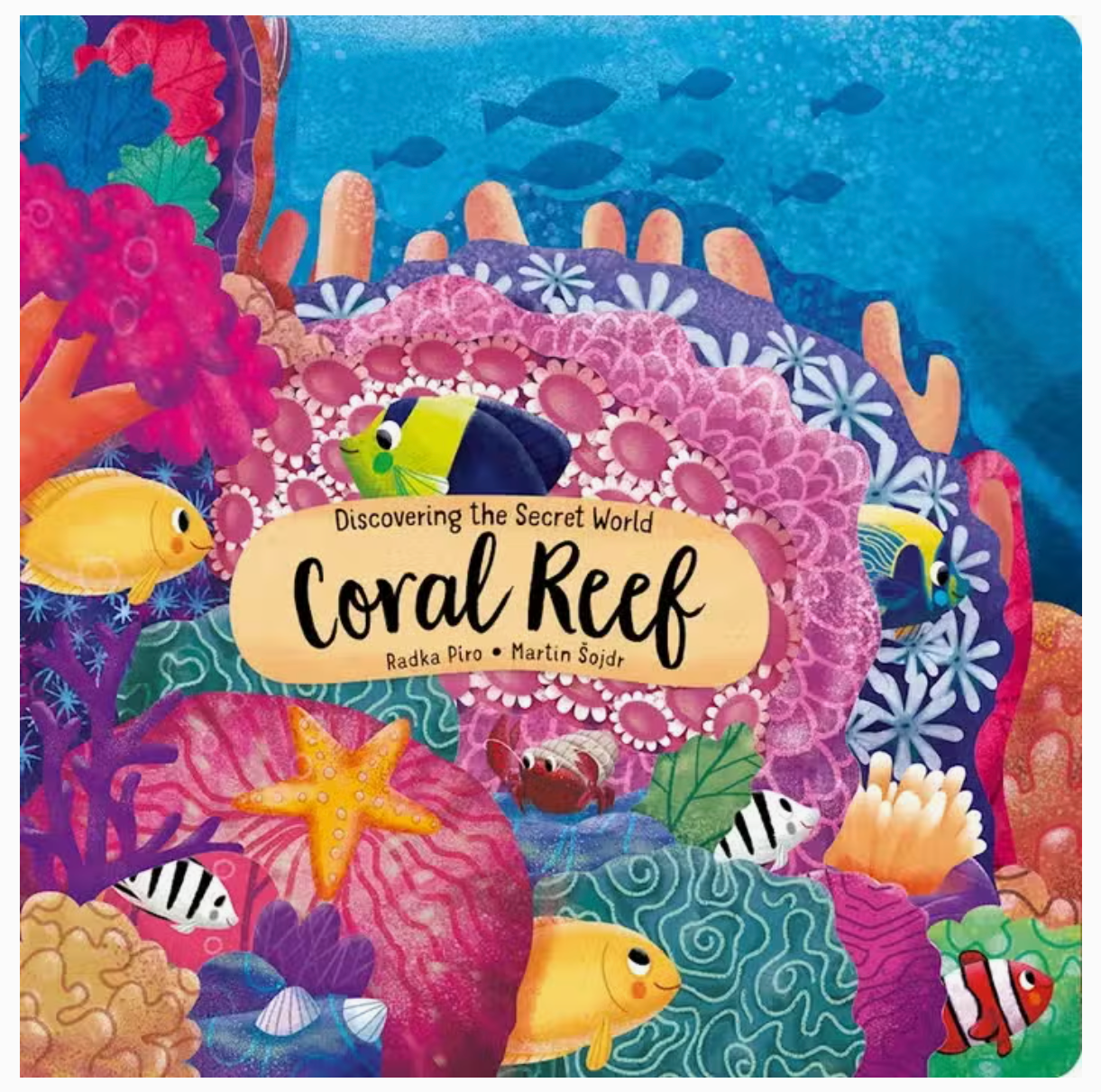Board Book - Coral Reef