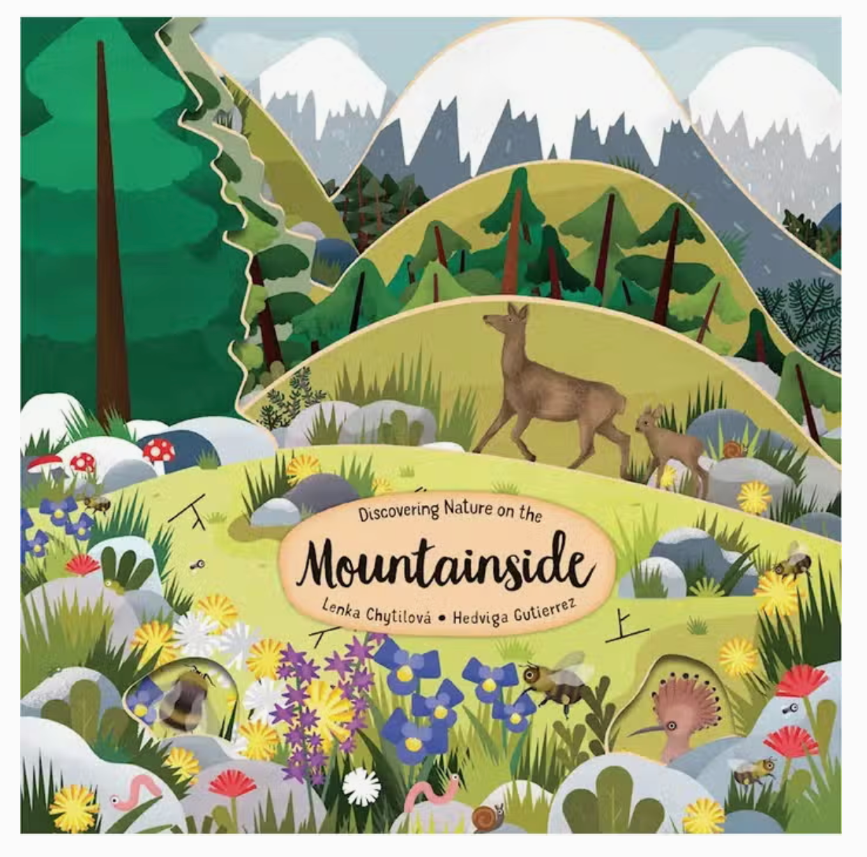 Board Book - Mountainside