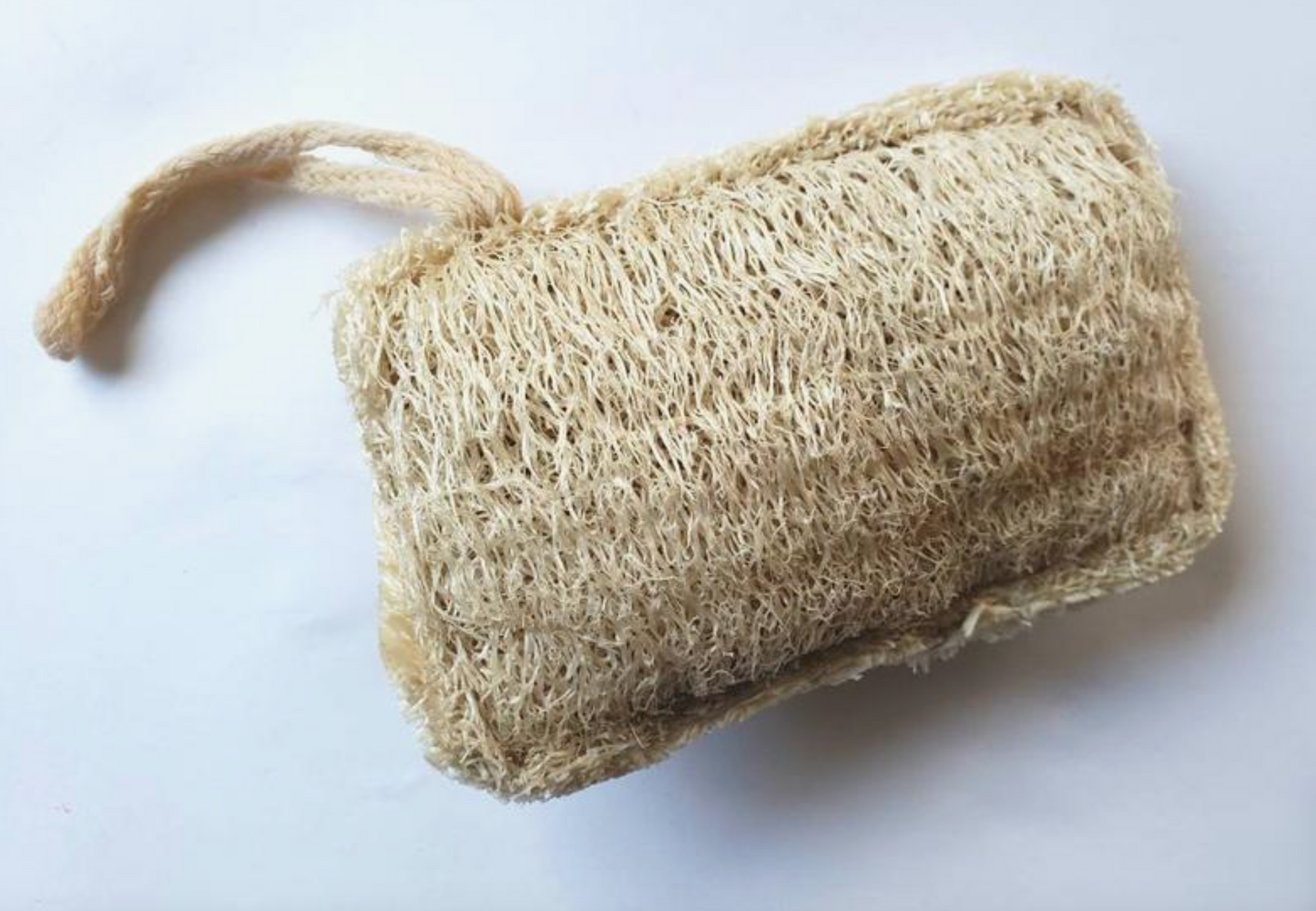 Natural Loofah Sponge