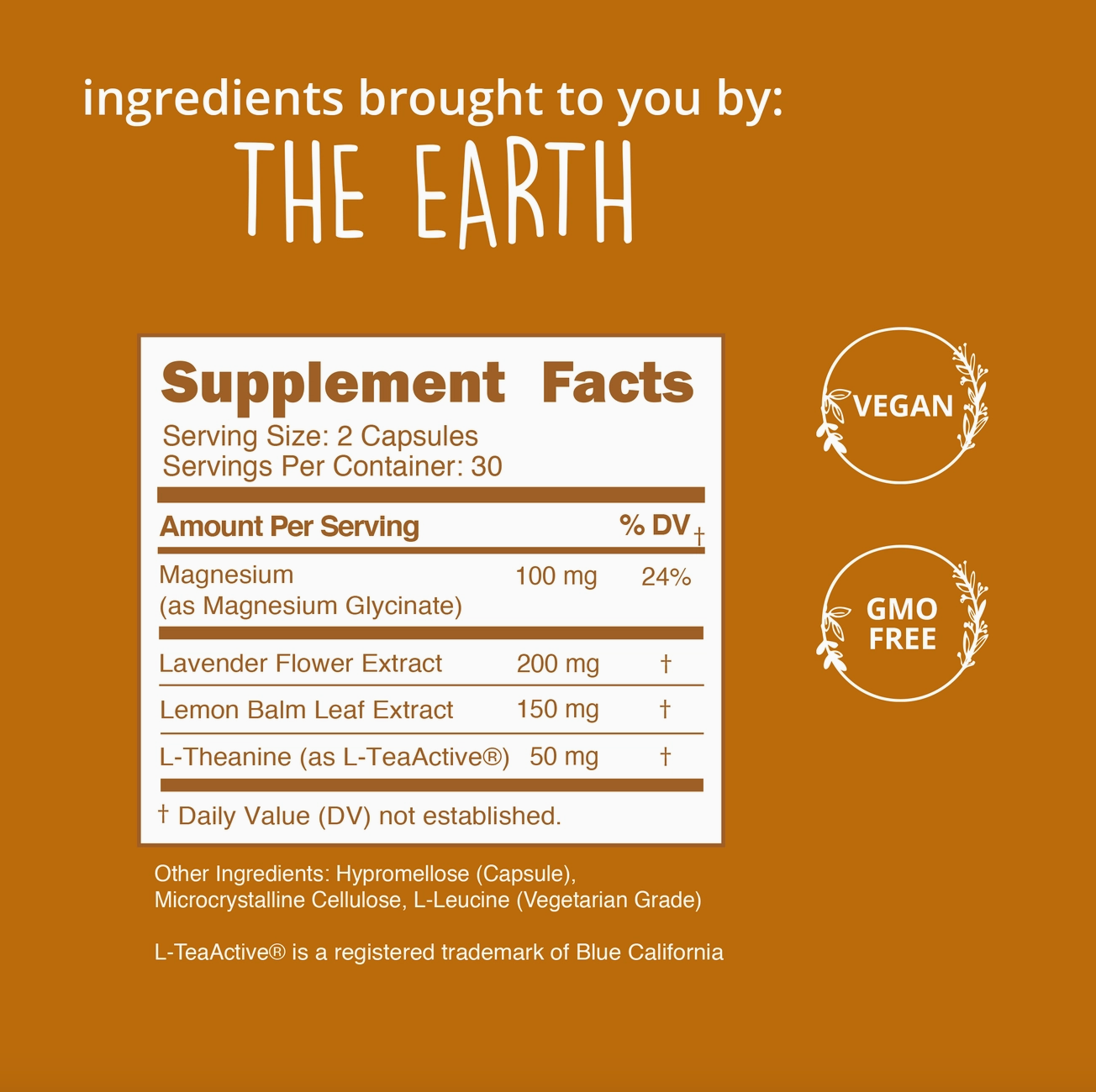 Be Grounded Stress Relief Supplement