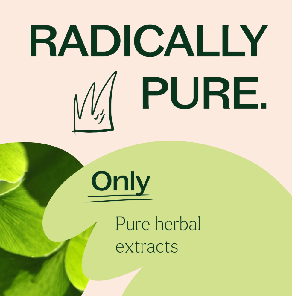 Ginkgo Biloba Herbal Supplement (Memory Support) 120 capsules