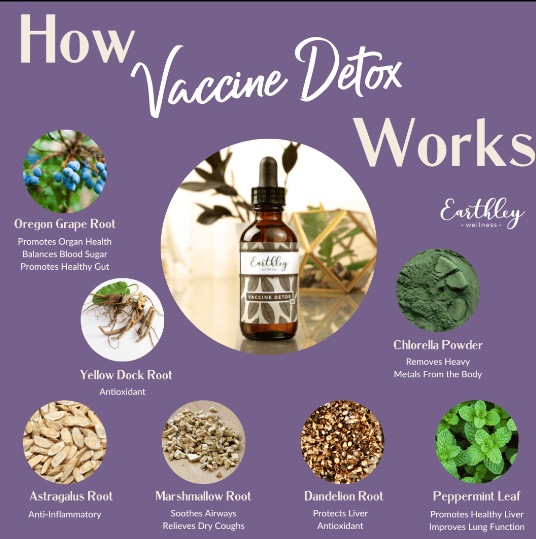 Vaccine Detox 2oz Tincture