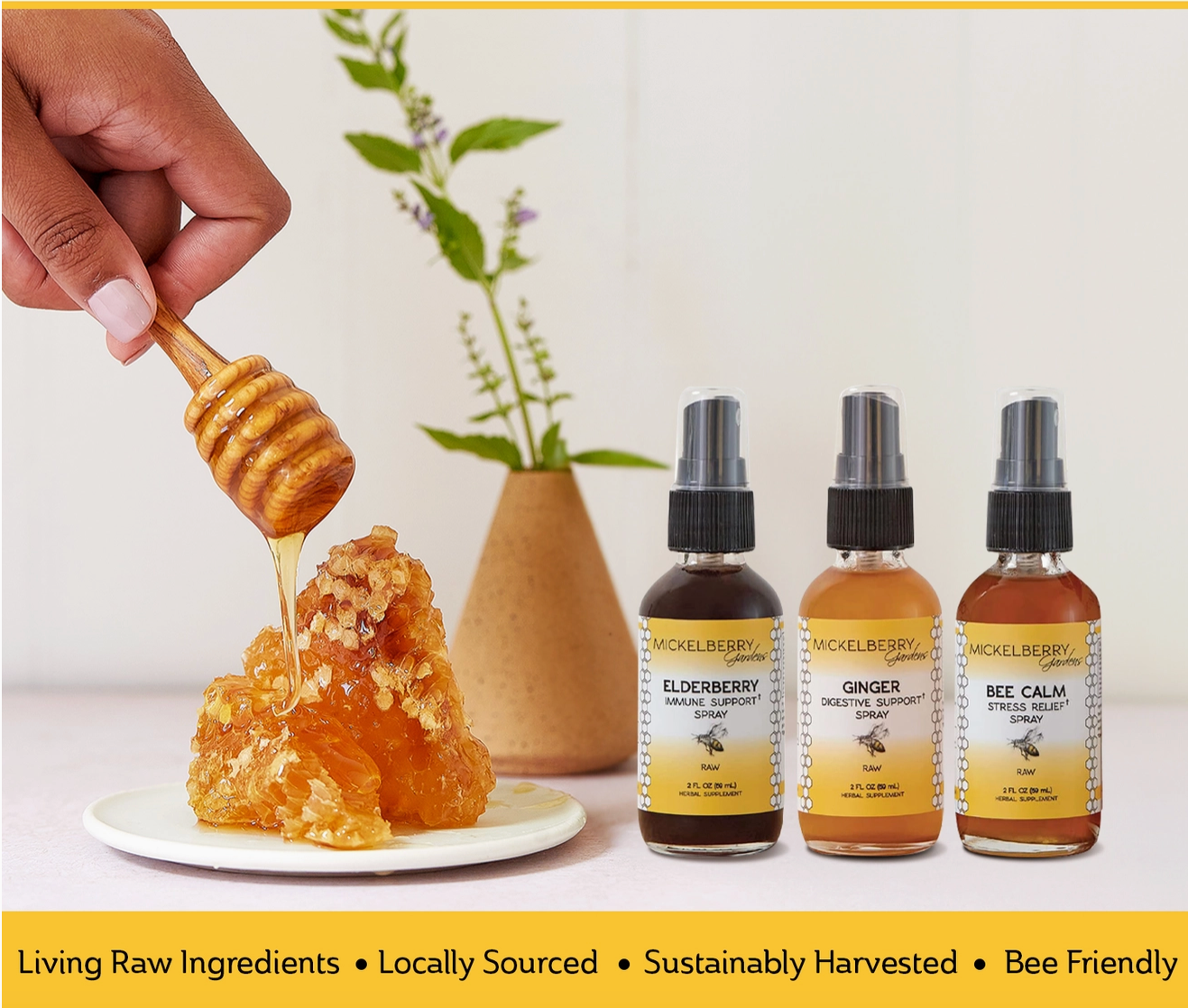 Wellness Gift Set - Digestive Support, Stress Relief, Immune Support