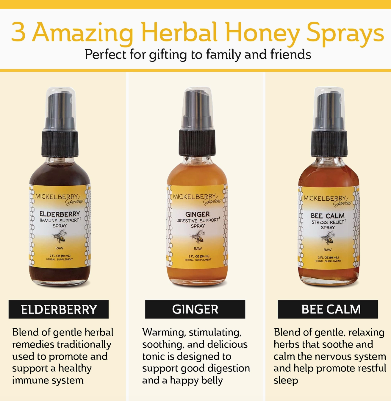 Wellness Gift Set - Digestive Support, Stress Relief, Immune Support