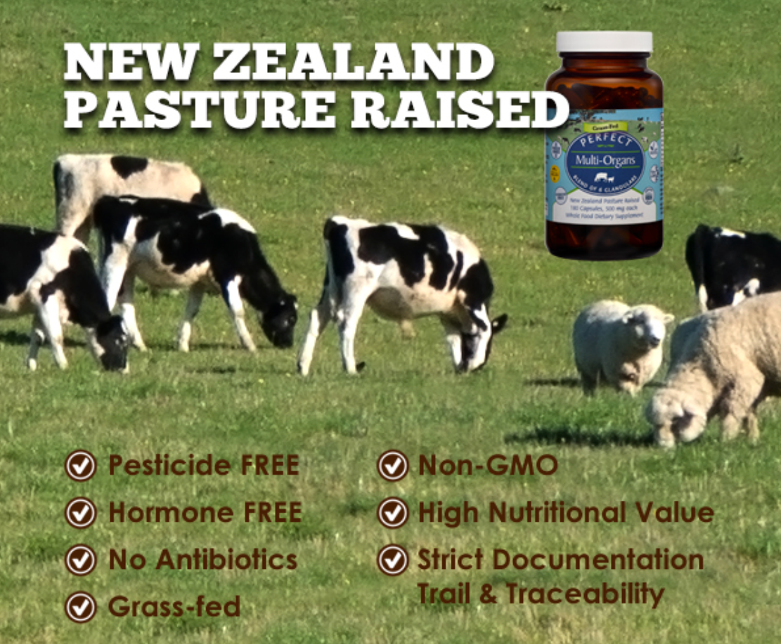 Multi-Organs - A Blend of 6 Glandulars (Pasture Raised)