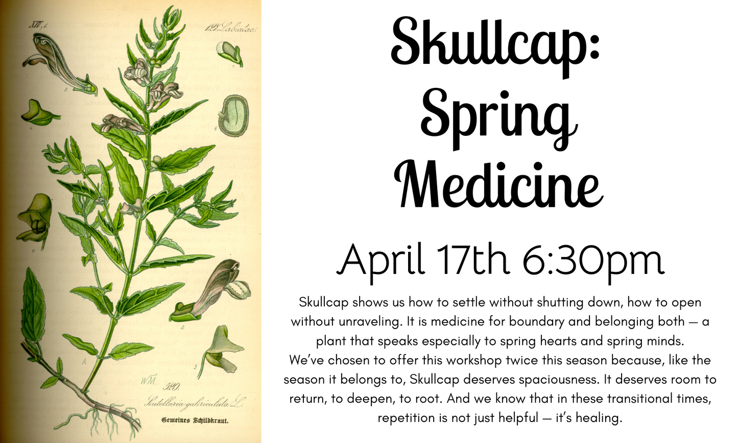 4/17 @6:30pm Skullcap: Spring Medicine