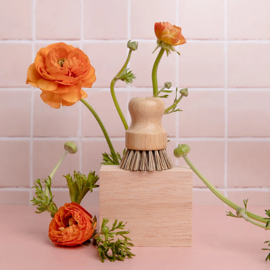 Sisal Dish Brush
