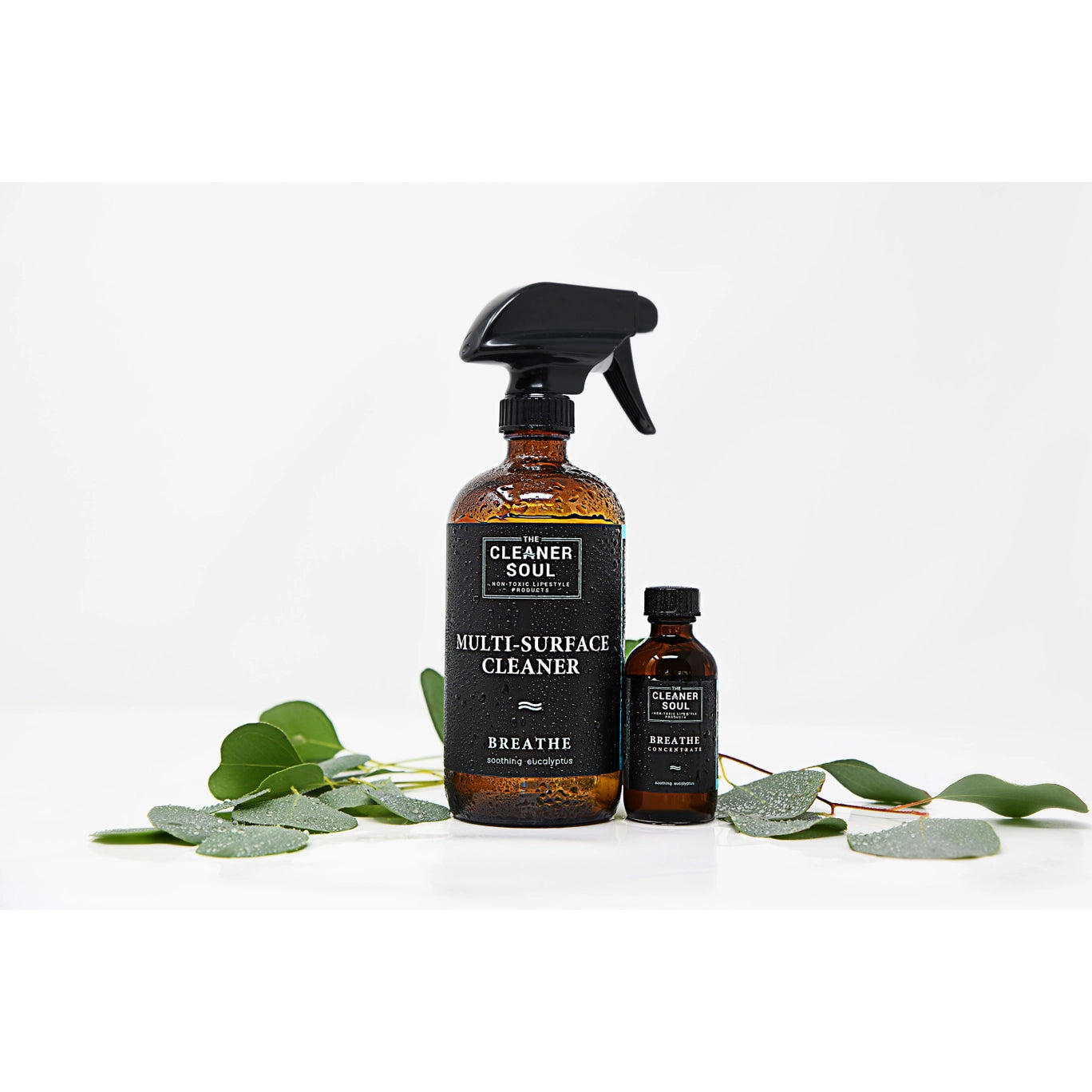 All Purpose Cleaner (16oz) - The Cleaner Soul