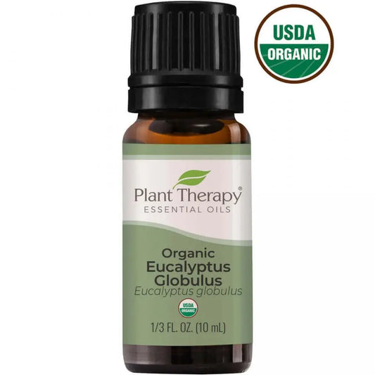 Essential Oil - Eucalyptus Globulus