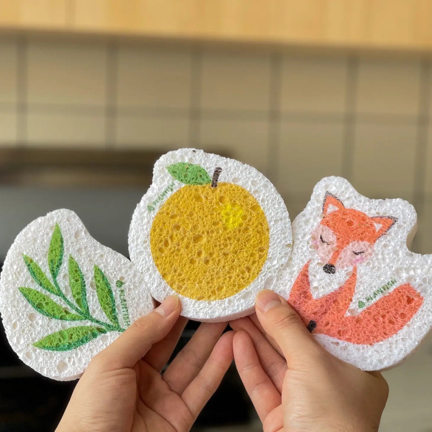 Pop Up Sponge