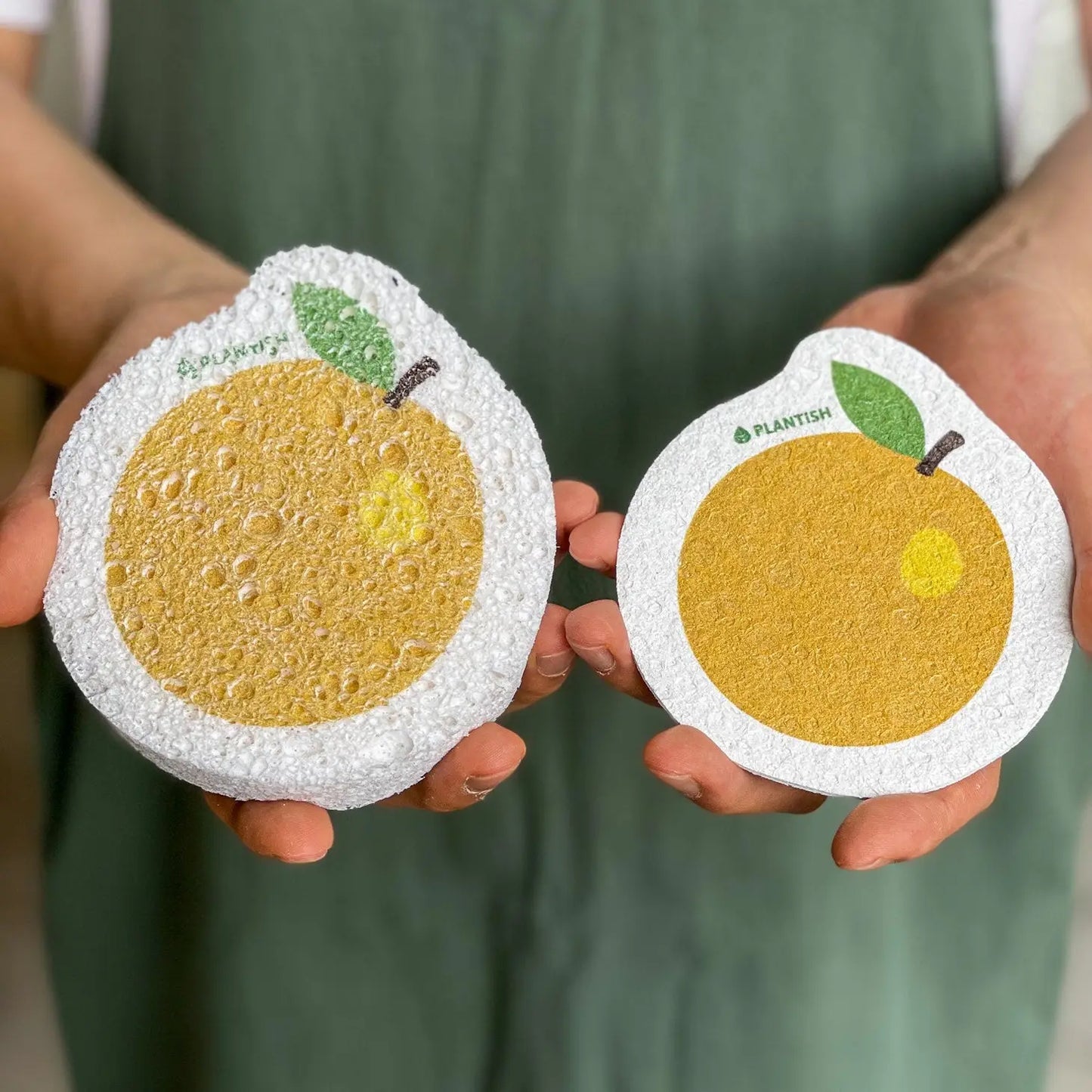 Pop Up Sponge