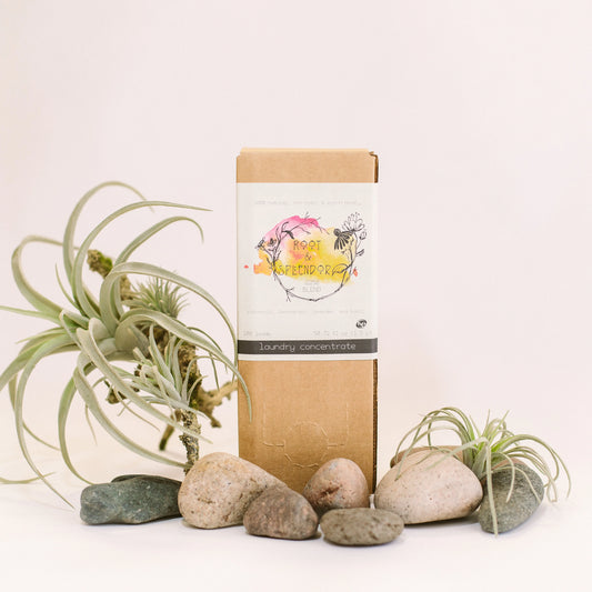 Root + Splendor Laundry Detergent Concentrate