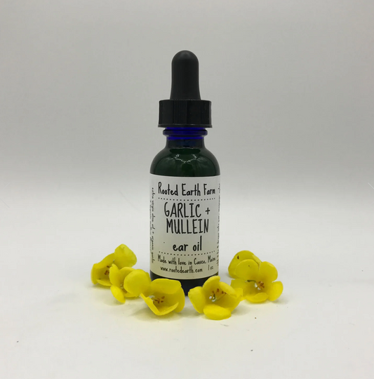 Garlic + Mullein Ear Oil