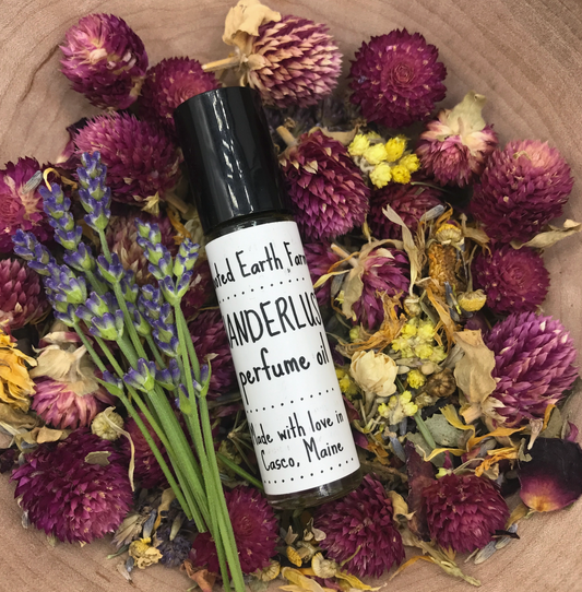 Perfume Essential Oil