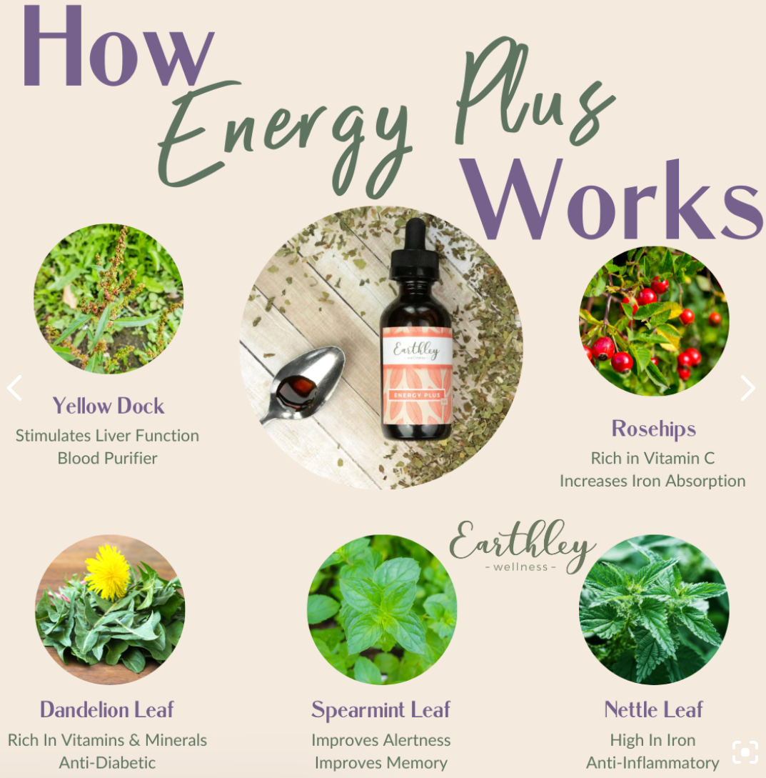 Energy Plus