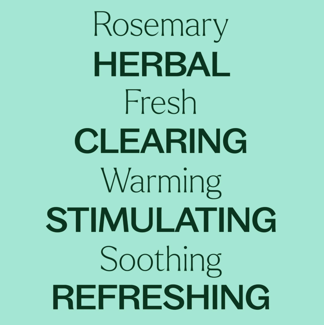 Essential Oil - Rosemary