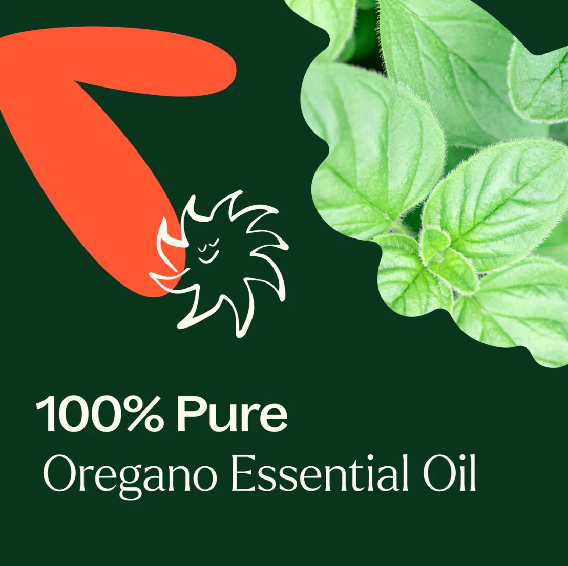 Essential Oil - Oregano