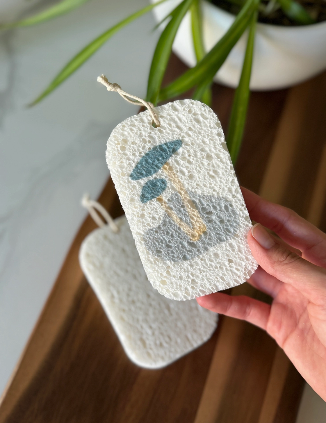 Pop Up Sponge with Cotton Loop