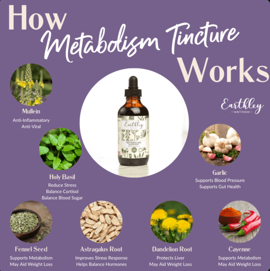 Metabolism Support 2oz Tincture