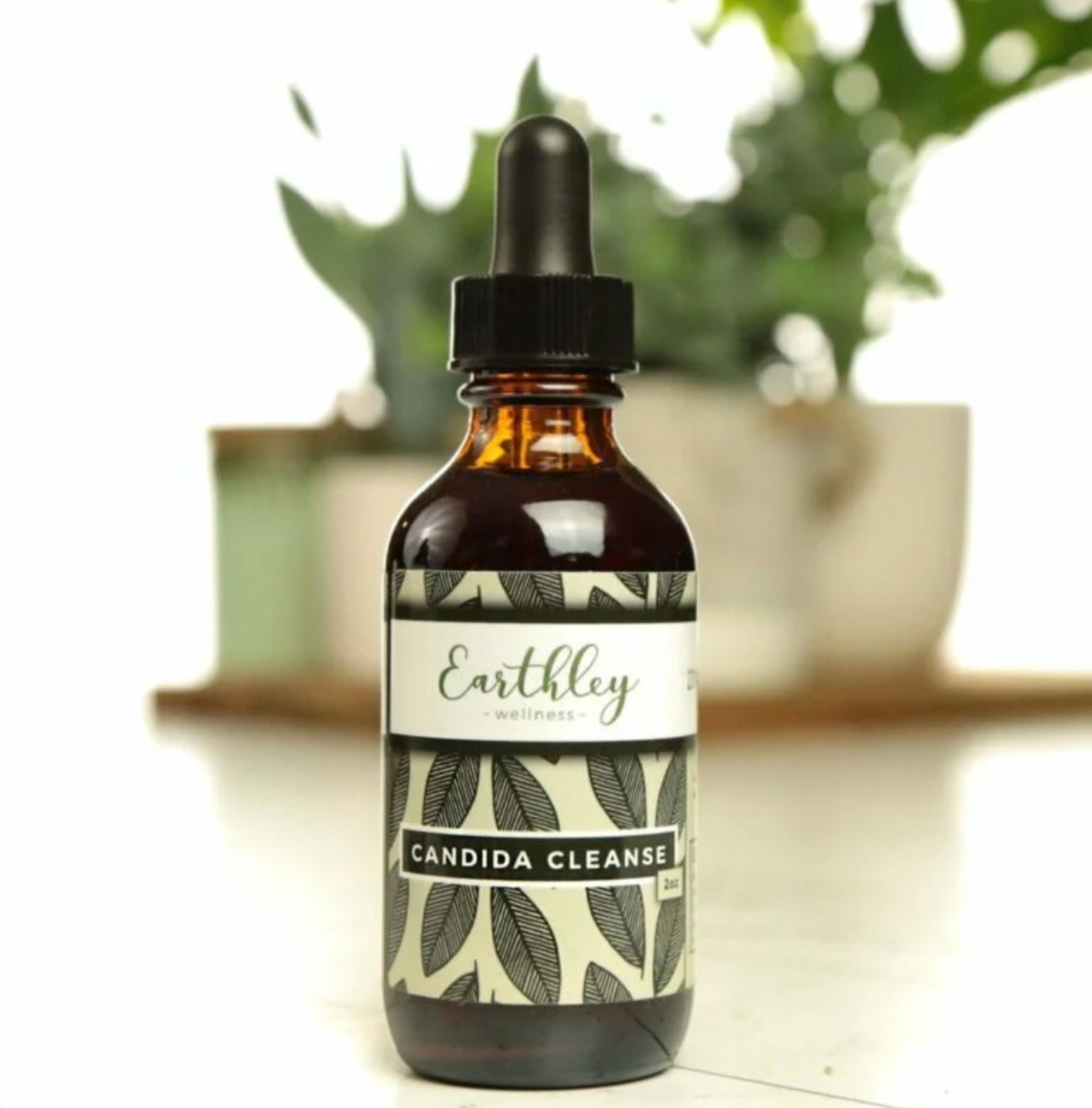 Candida Cleanse 2oz Tincture