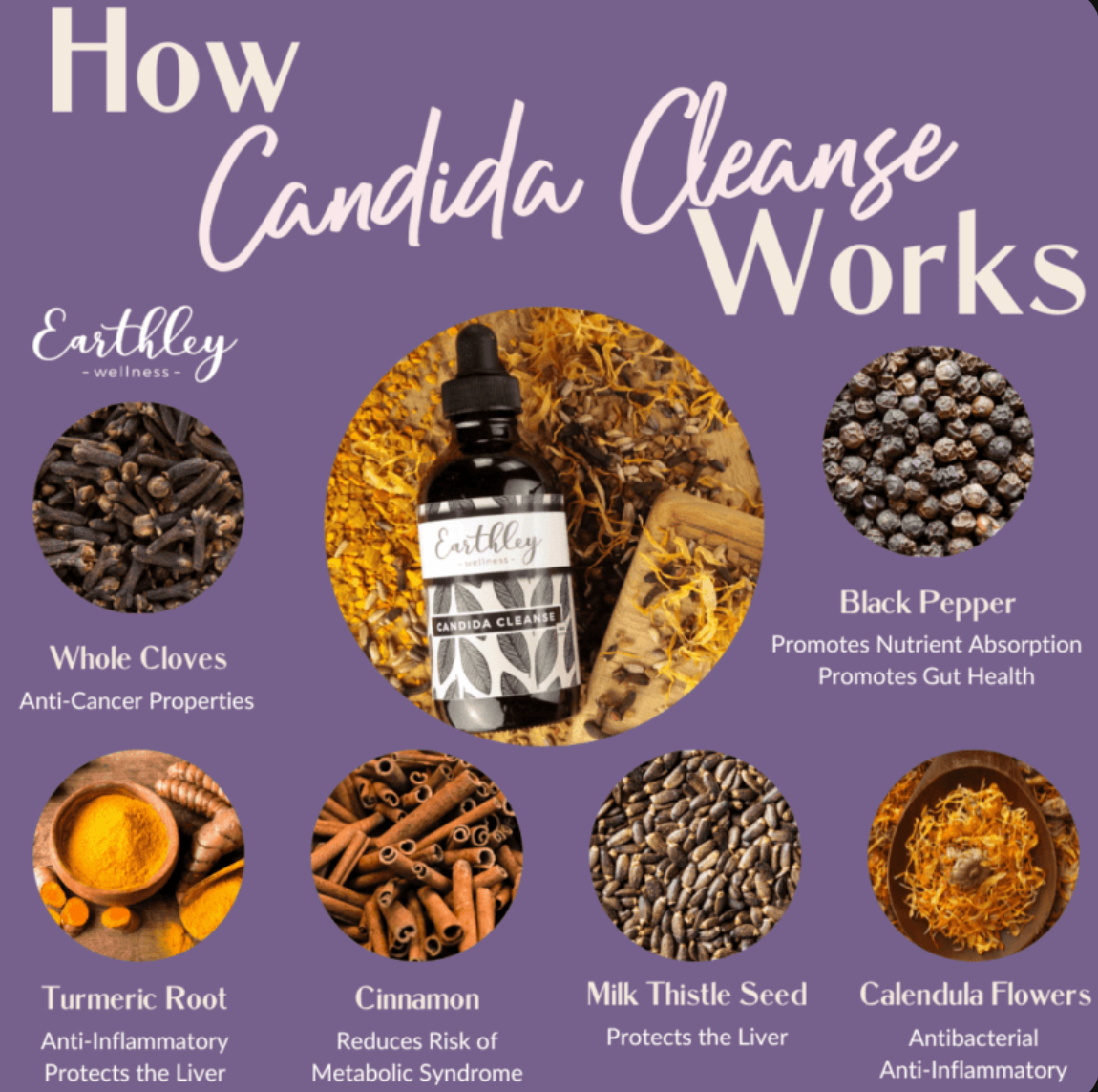 Candida Cleanse 2oz Tincture