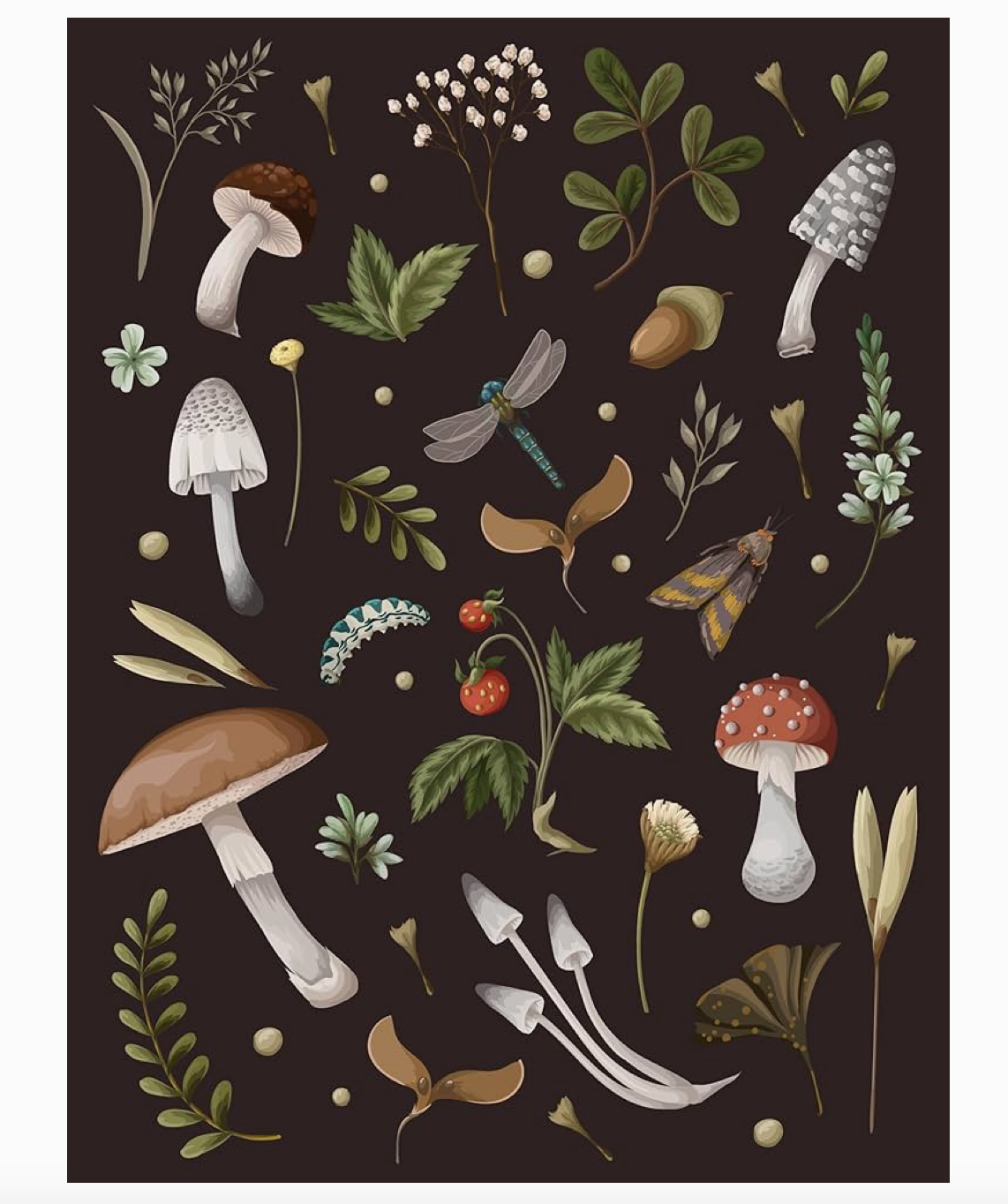 Mushroom Journal