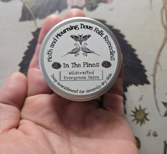 Wildcrafted Evergreen Salve