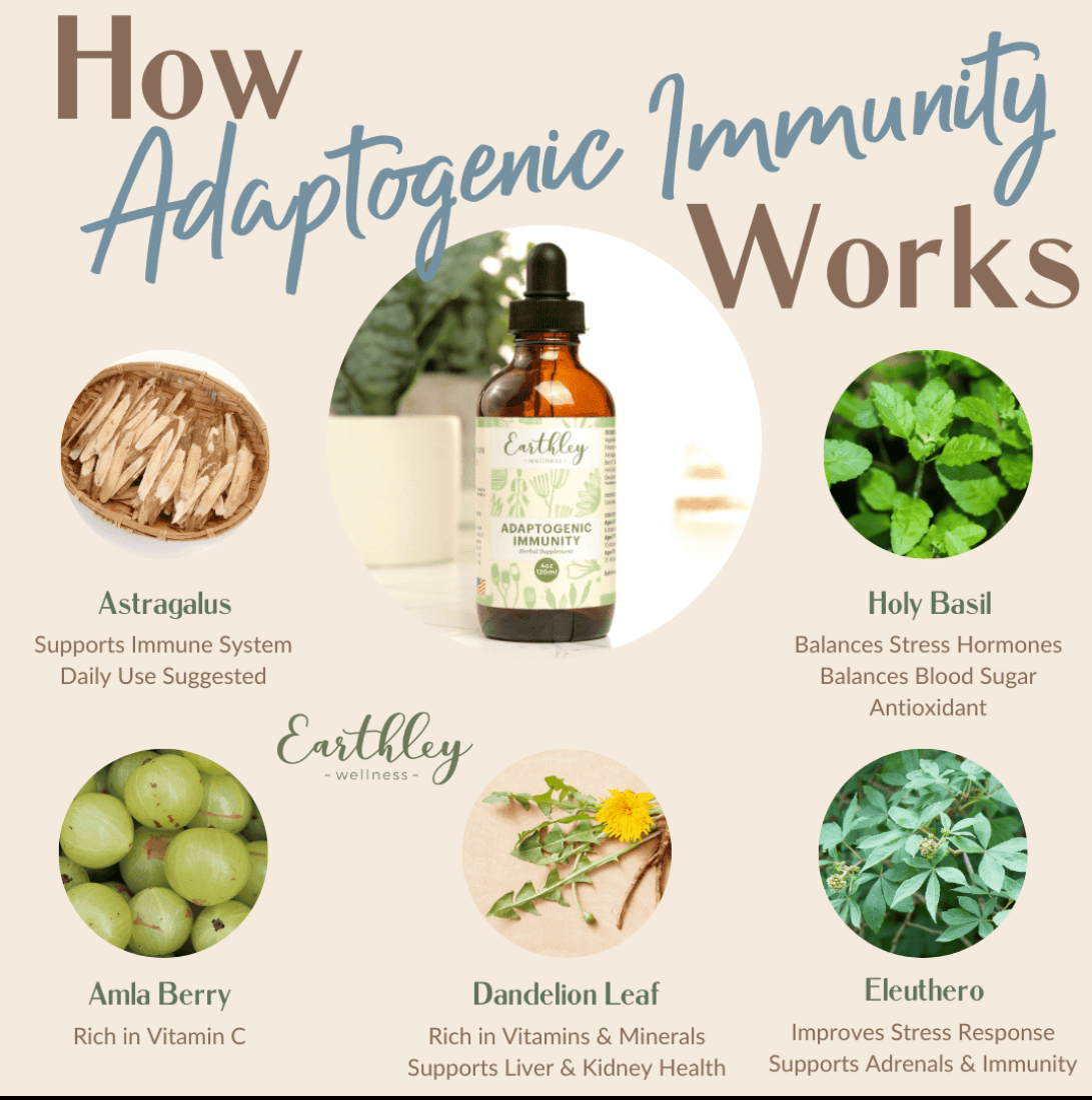 Adaptogenic Immunity 2oz Tincture