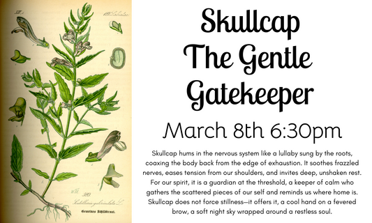 3/8 @6:30 Skullcap - The Gentle Gatekeeper